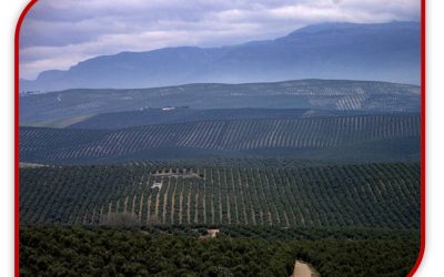 La Leyenda: Irse por los Cerros de Ubeda