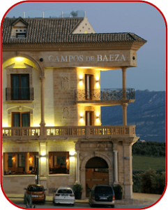 hotel campos de baeza 241x300 - Hotel Campos de Baeza