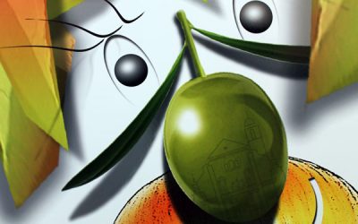 Actividades en Úbeda y Baeza Febrero 2013