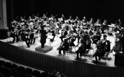 Concierto del»Grupo Amadeus»