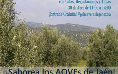 Primavera Virgen Extra